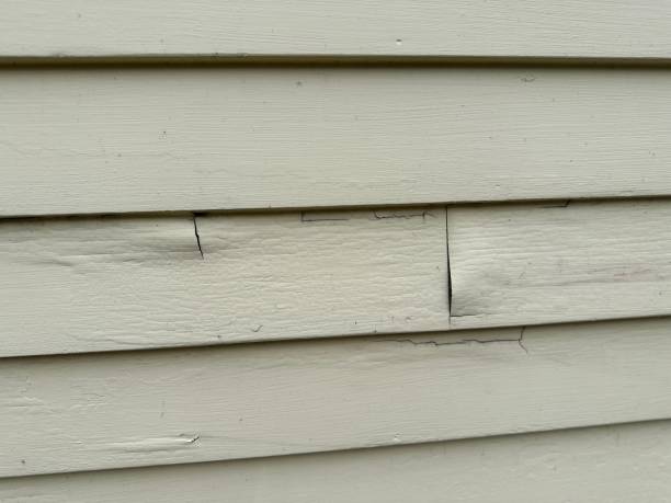 Property Management Cleanouts in Manito, IL